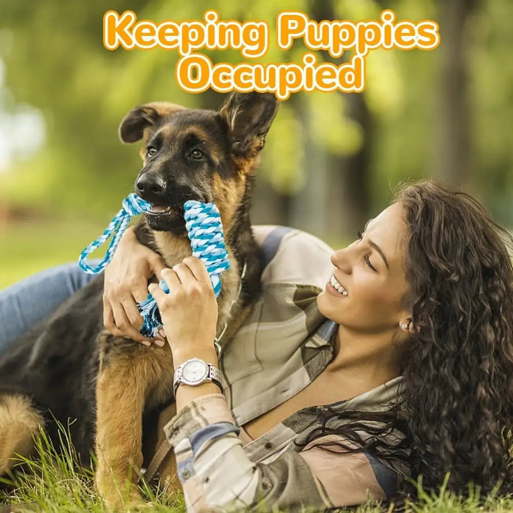 Ultimate 11-Piece Dog Toy Set