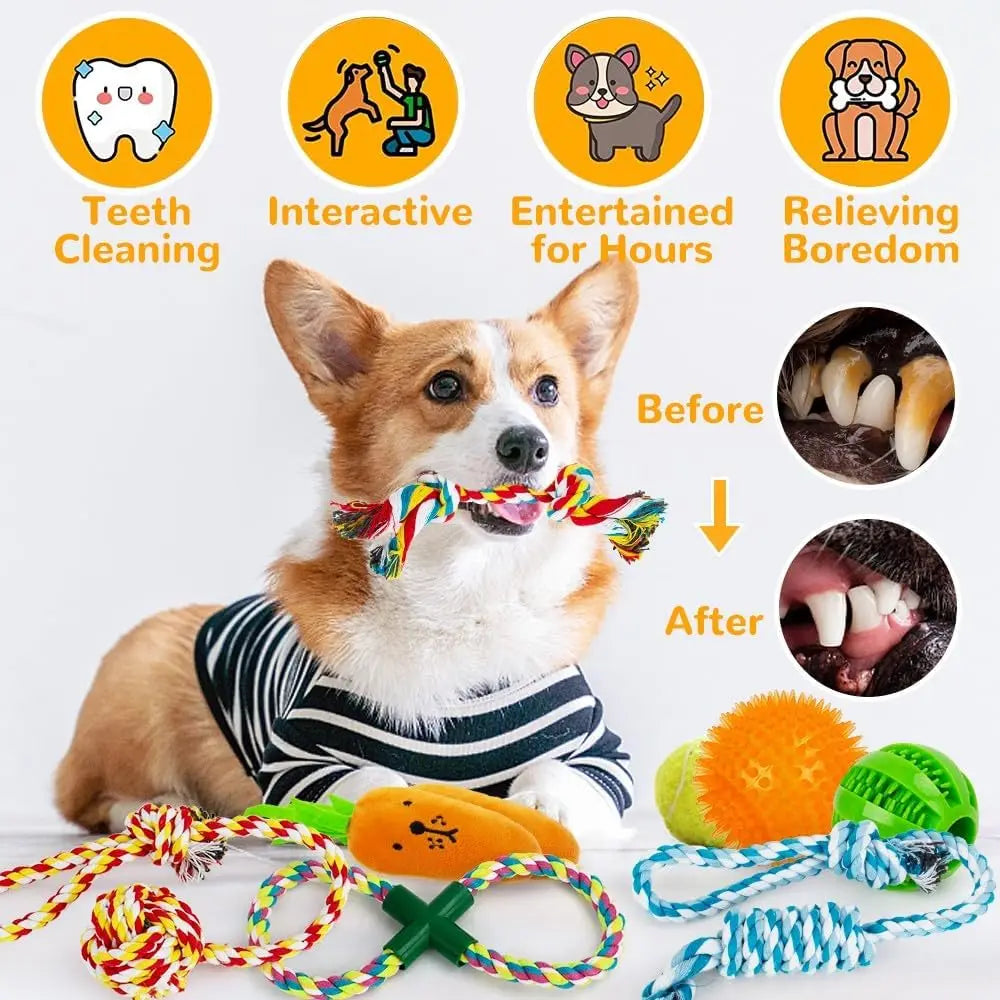 Ultimate 11-Piece Dog Toy Set