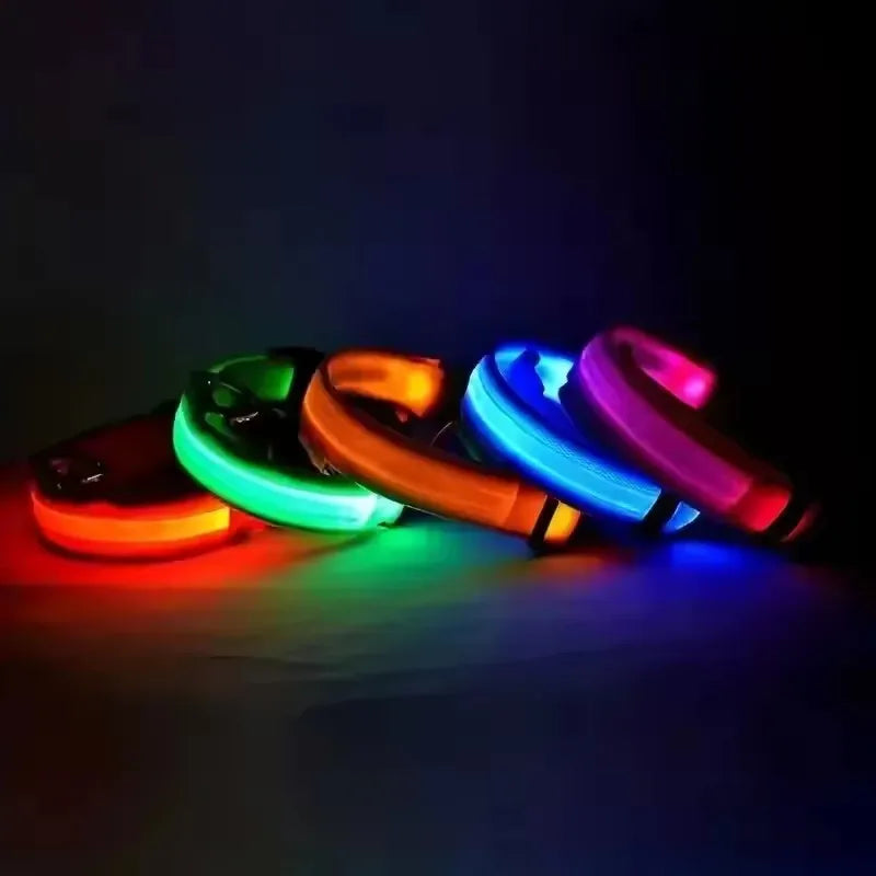 BOOTEELY LED Nylon Dog Leash & Collar