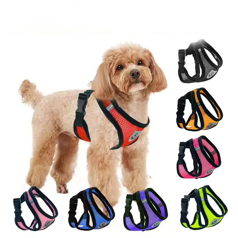 Summer Pet Harness & Leash Set