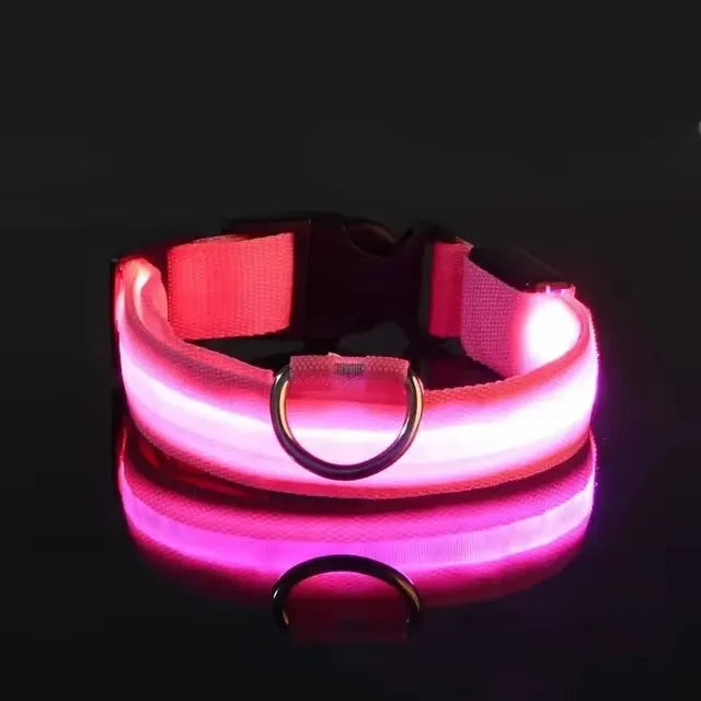 BOOTEELY LED Nylon Dog Leash & Collar