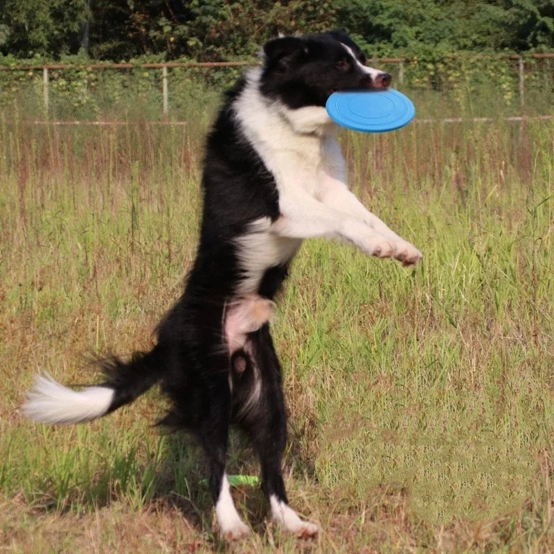 7 Colors Silicone Flying Saucer Funny Dog Cat Toy Dog Game Flying Discs Resistant Chew Puppy Training Interactive Pet Supplies