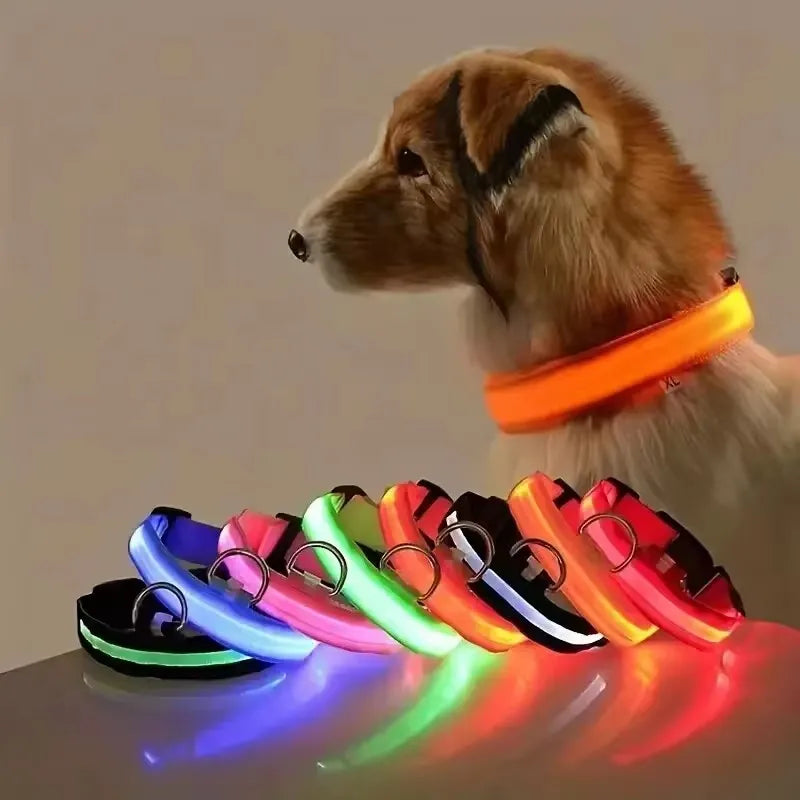 BOOTEELY LED Nylon Dog Leash & Collar