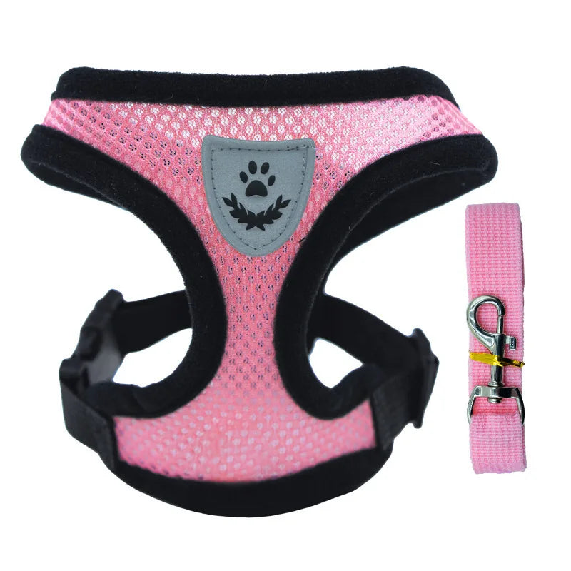 Summer Pet Harness & Leash Set
