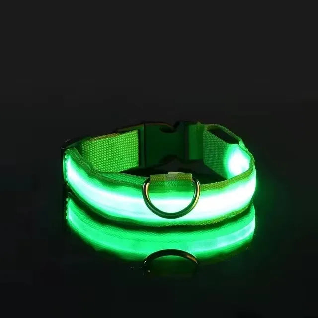 BOOTEELY LED Nylon Dog Leash & Collar