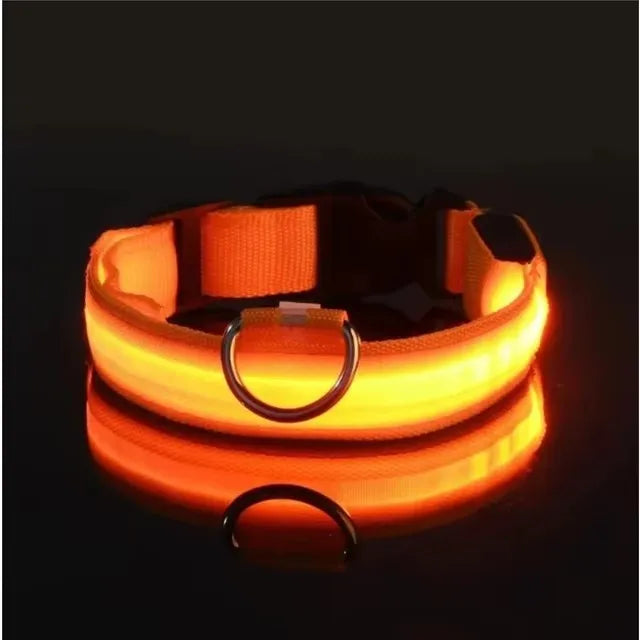 BOOTEELY LED Nylon Dog Leash & Collar