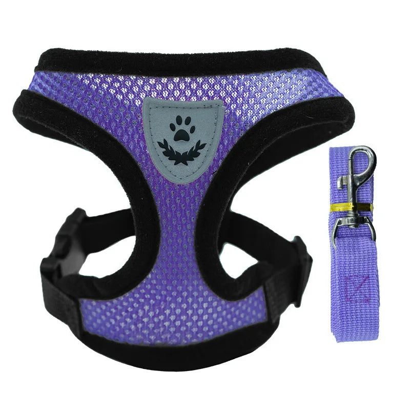 Summer Pet Harness & Leash Set