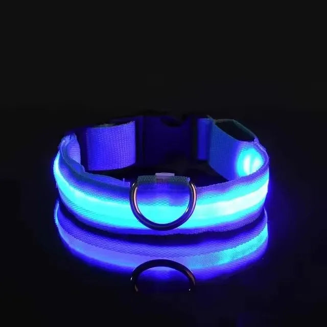 BOOTEELY LED Nylon Dog Leash & Collar