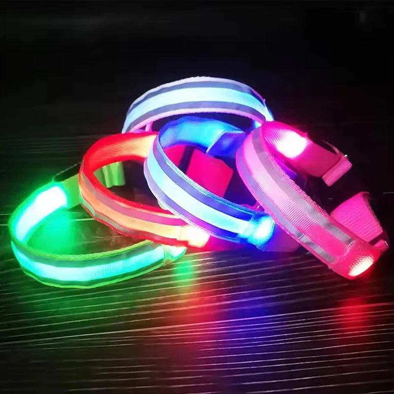 BOOTEELY LED Nylon Dog Leash & Collar