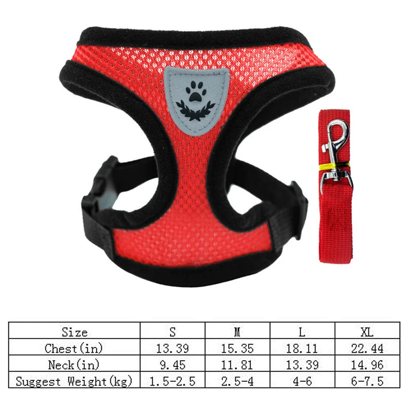 Summer Pet Harness & Leash Set