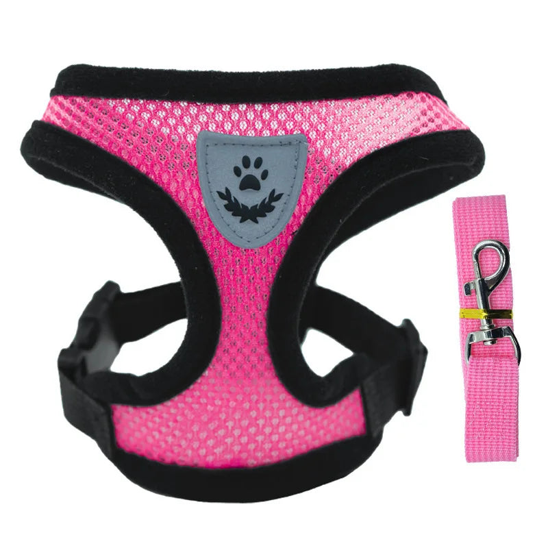 Summer Pet Harness & Leash Set