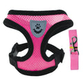 Summer Pet Harness & Leash Set