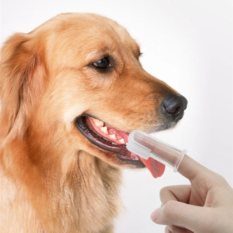 Super Soft Dog Toothbrush