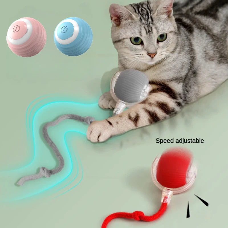 New Electric Pet Ball Toy