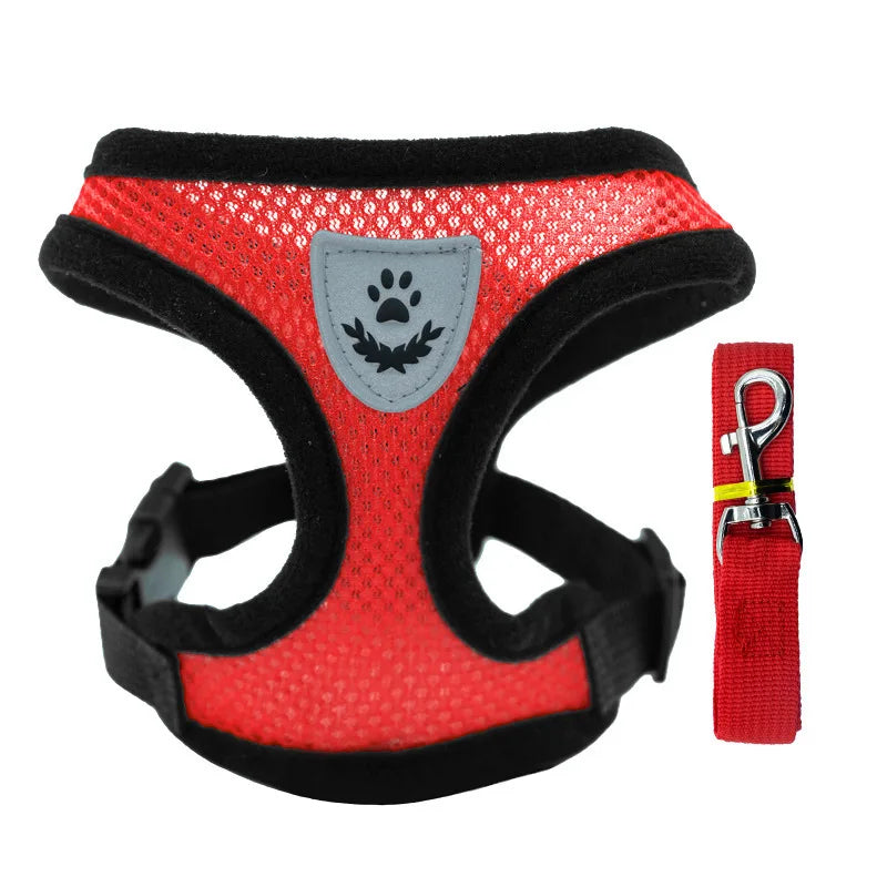 Summer Pet Harness & Leash Set