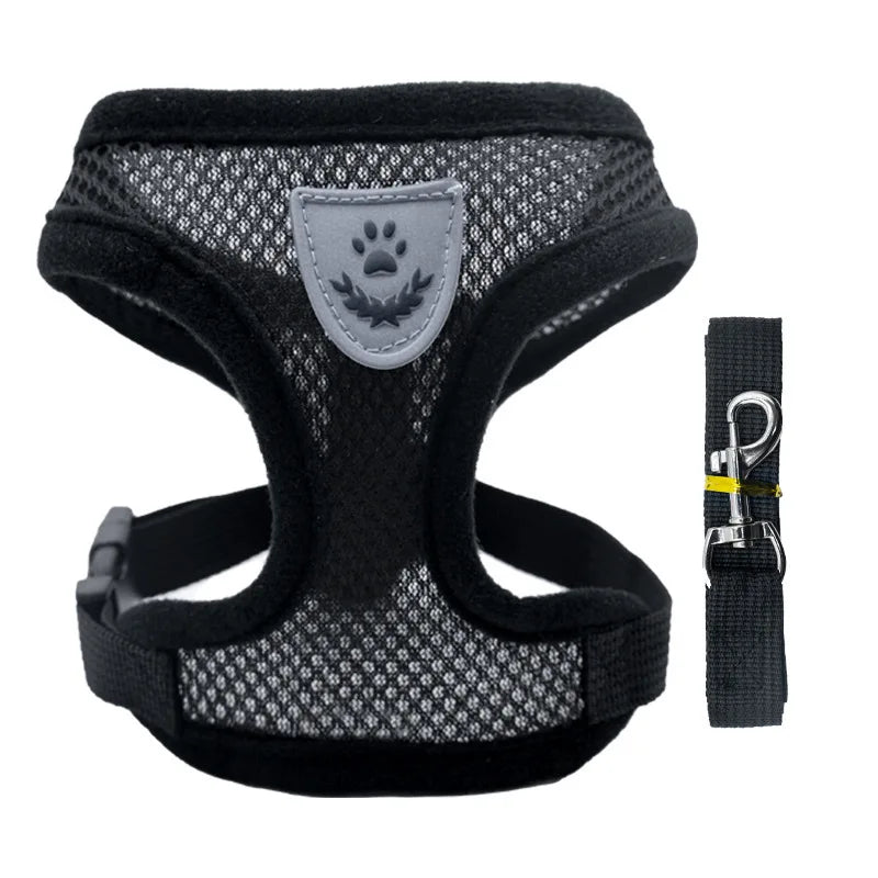 Summer Pet Harness & Leash Set