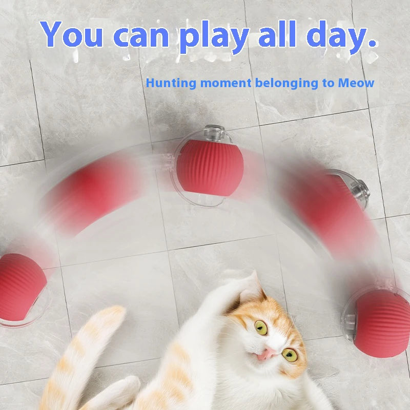 New Electric Pet Ball Toy