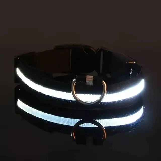 BOOTEELY LED Nylon Dog Leash & Collar