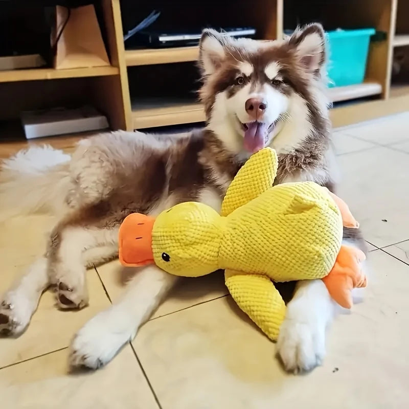 Plush Squeaky Dog Toy