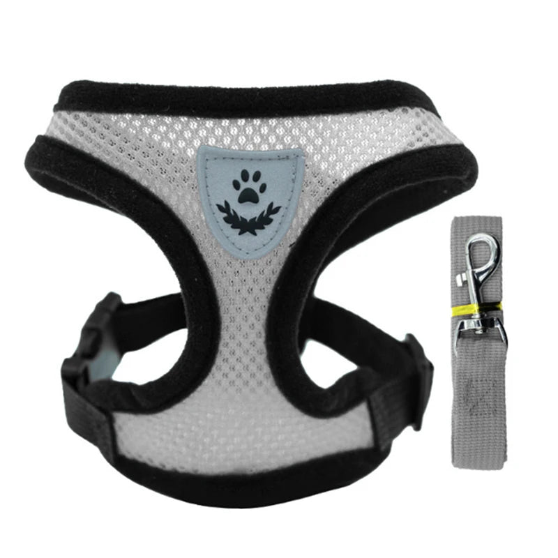 Summer Pet Harness & Leash Set