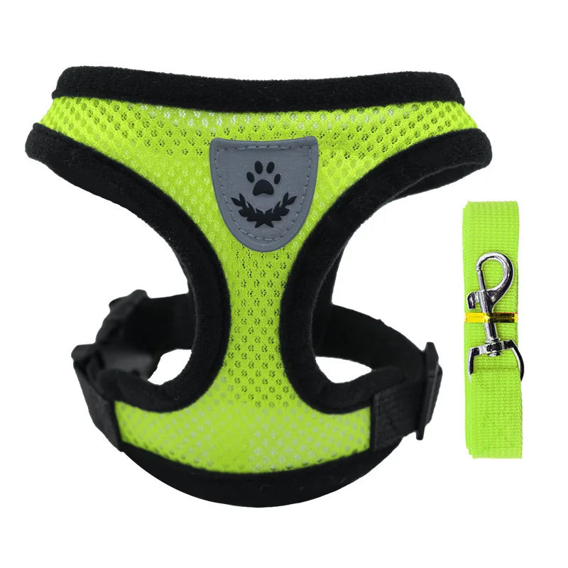 Summer Pet Harness & Leash Set