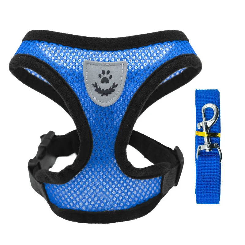 Summer Pet Harness & Leash Set